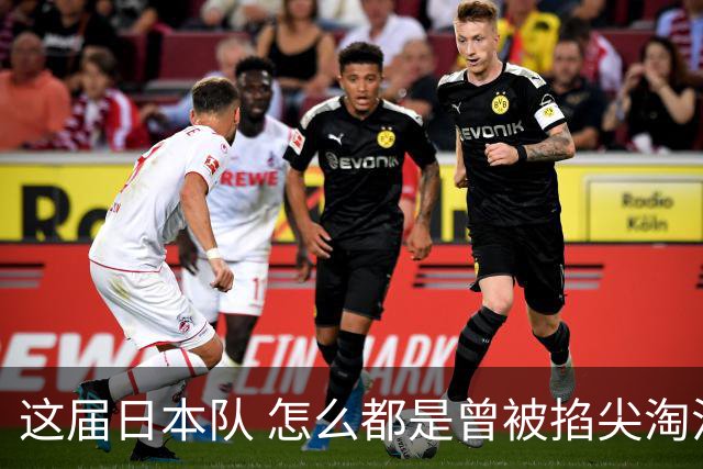 这届日本队 怎么都是曾被掐尖淘汰的孩子啊